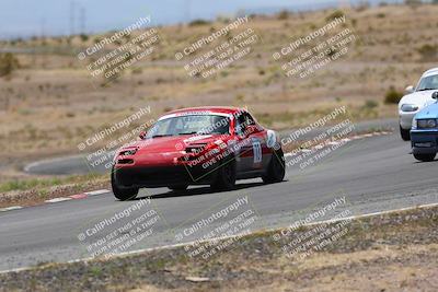 media/May-03-2025-Lucky Dog Racing (Sat) [[206de64b9d]]/Turn 6 (150pm-230pm)/